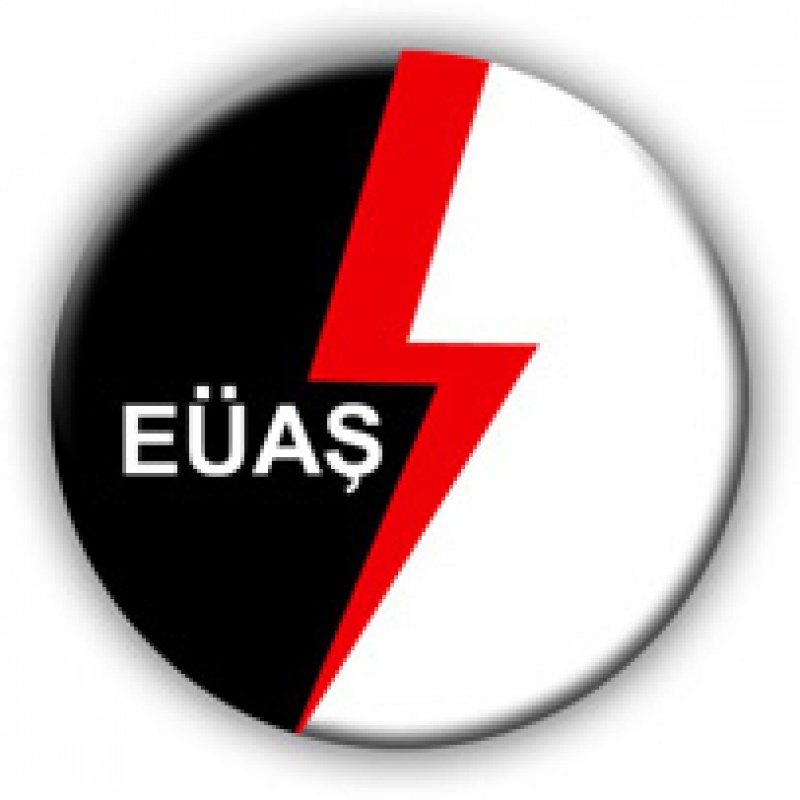 EÜAŞ'ın Treyler Mobil Elektrik Santrali Projesi için yeniden ÇED süreci başladı

