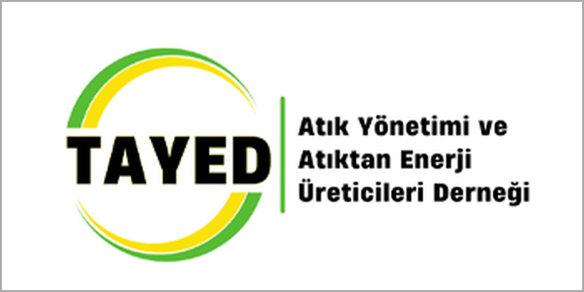 35_tayed