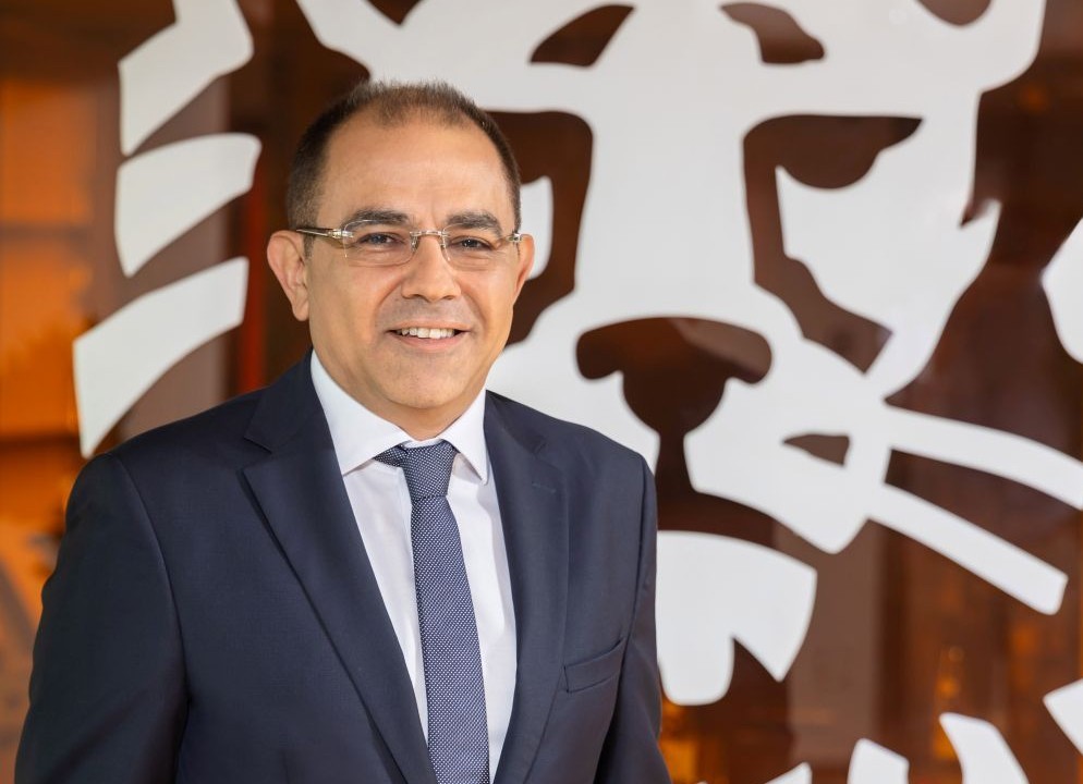 ING Türkiye Mali Kontrol ve Hazine Genel Müdür Yardımcısı Gökçe Çakıt Oldu